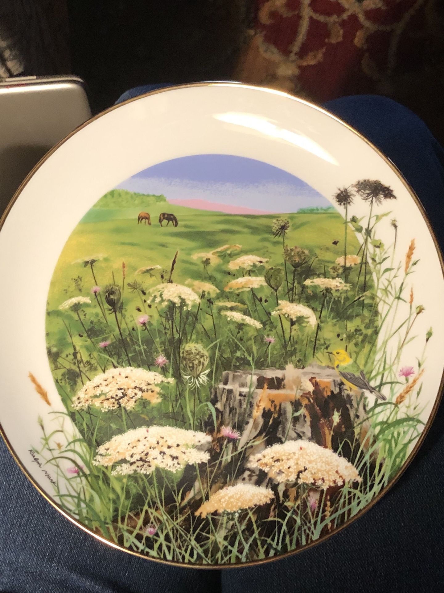Queen Anne’s Lace Collectible Plate 