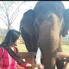 divya