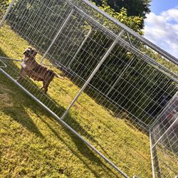 Huge Outdoor Kennels 