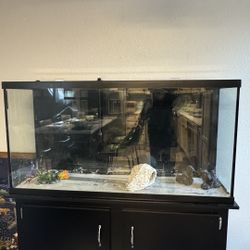 65gallon Fish Tank