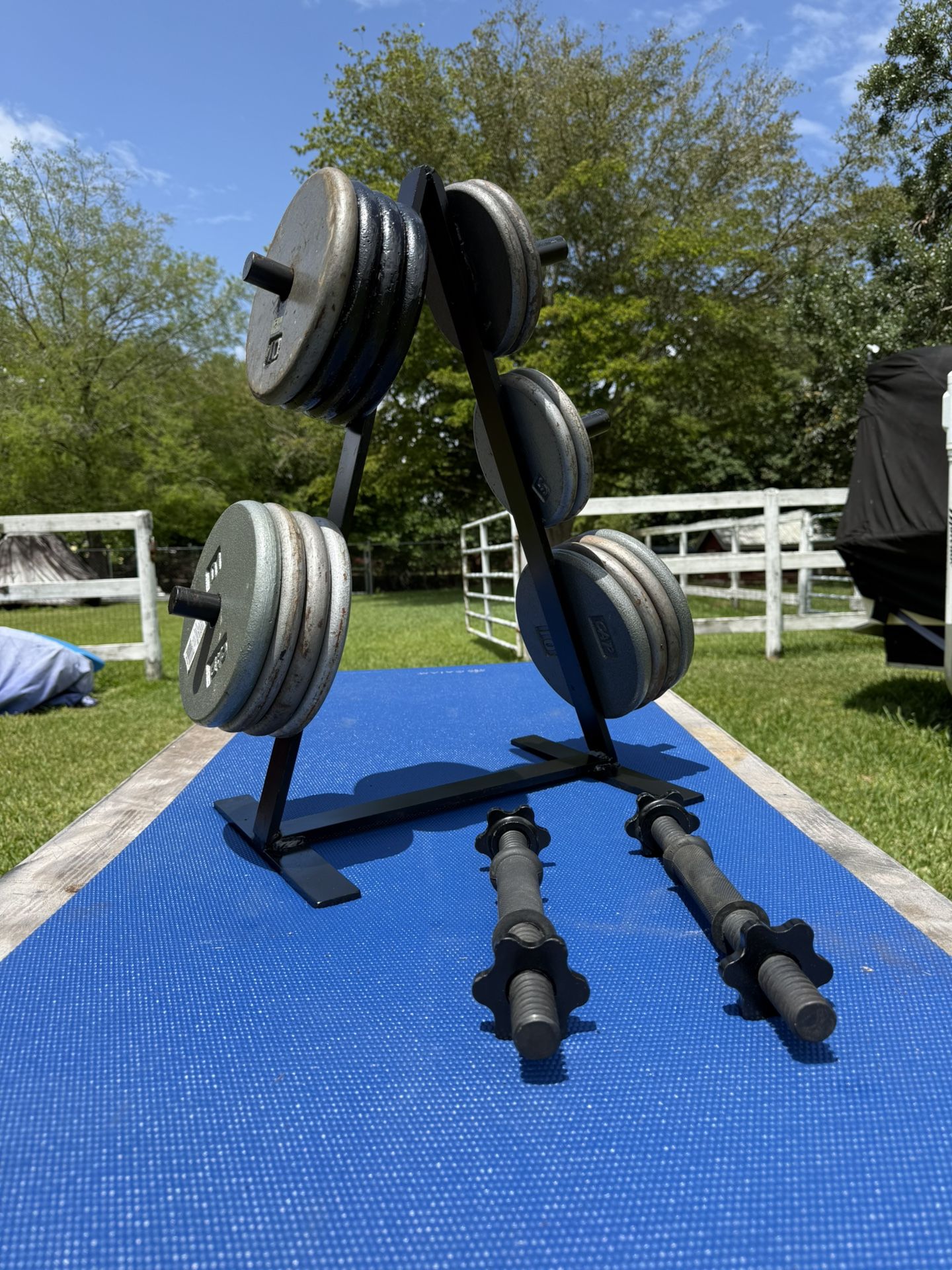 Full Set Of Weights With Rack And Dumbbell Handles