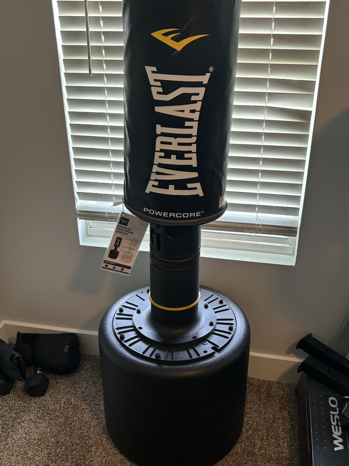 EVERLAST PUNCHING BAG