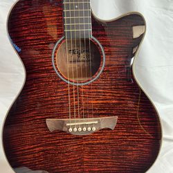 New Guitar - Acoustic/ Electric Tagima TW32