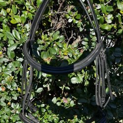 DeVinci Double Padded Black Headstall 