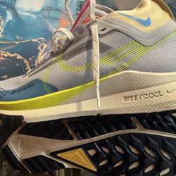 Nike Pegasus Trail 4 Gore-TEX trail running shoes (Men’s Size 10)