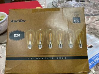 Decorative    Light  💡 Bulb