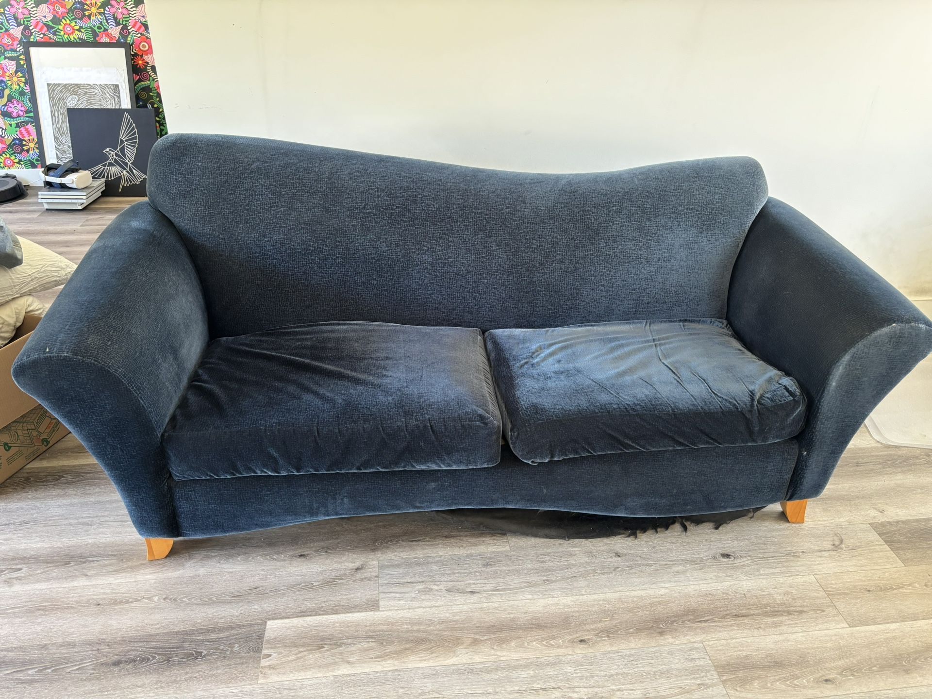 Blue Couches