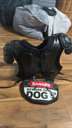 brand new 100$