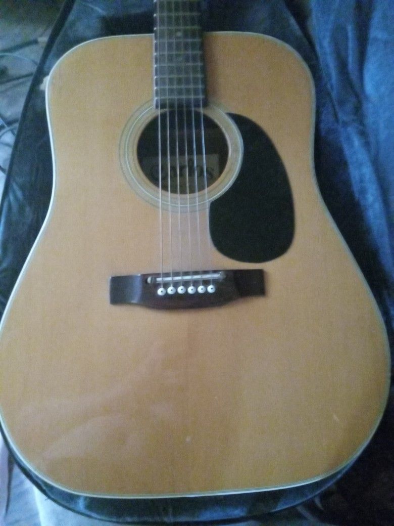 Acoustic Guitar And Case
