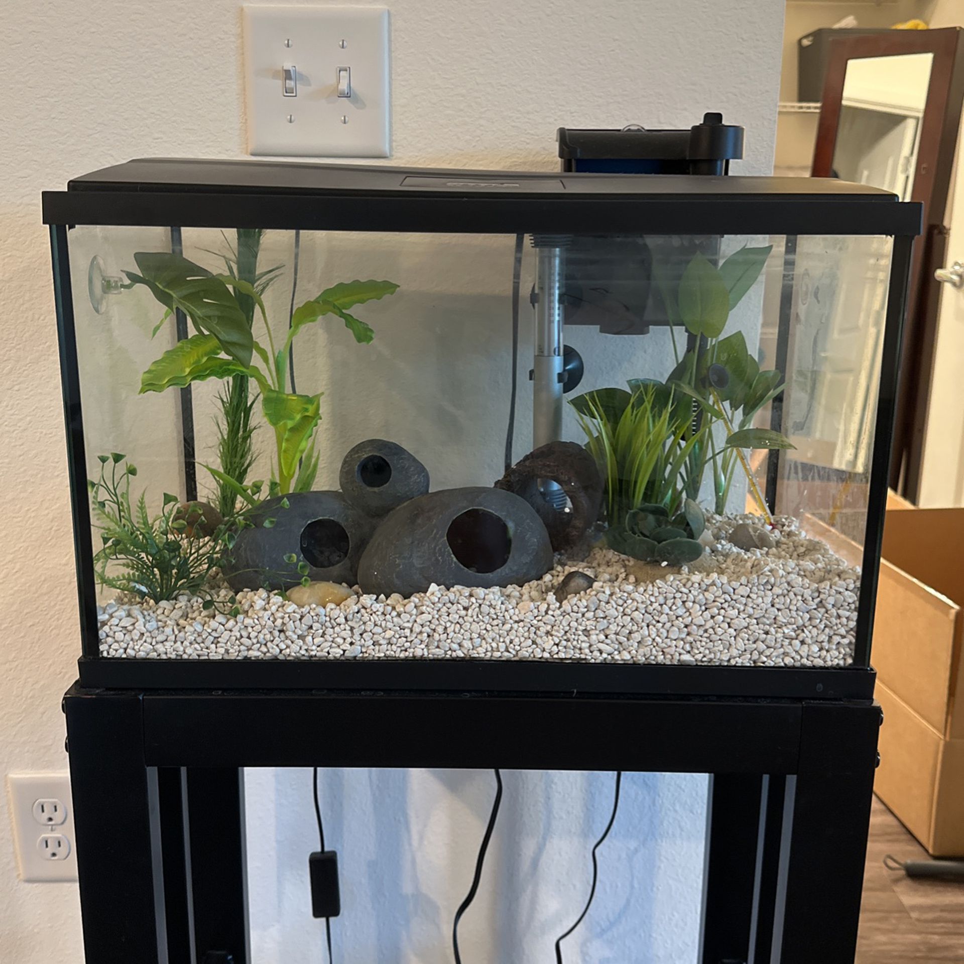 10 Gallon Fish Tank With Accessories 