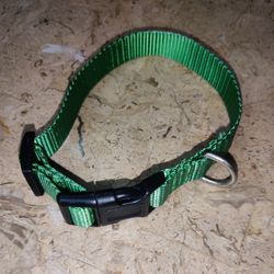 Used Medium Size Dog Collar 