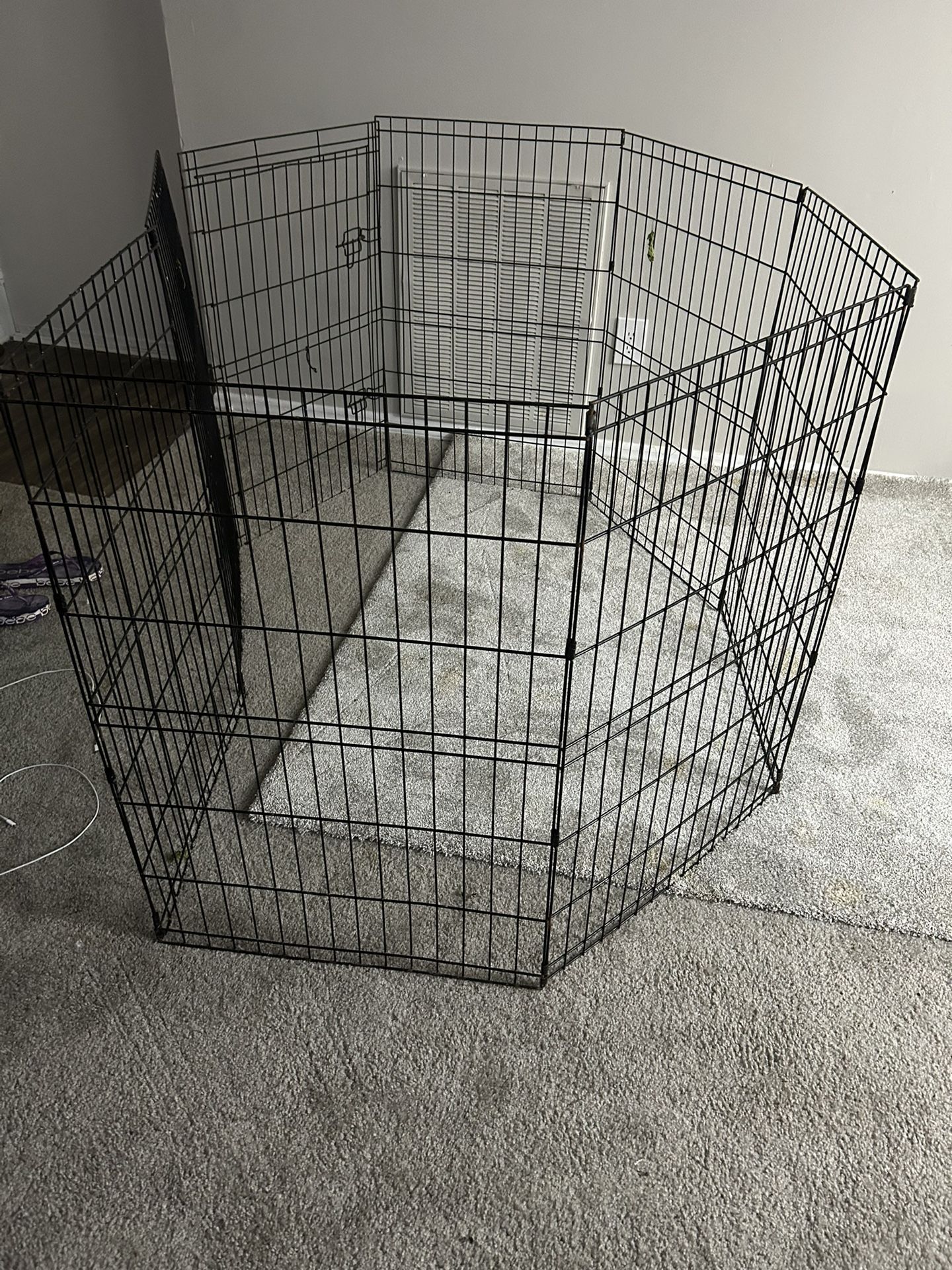 Pet Excericser