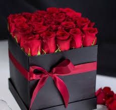 Rose, rosas flowers