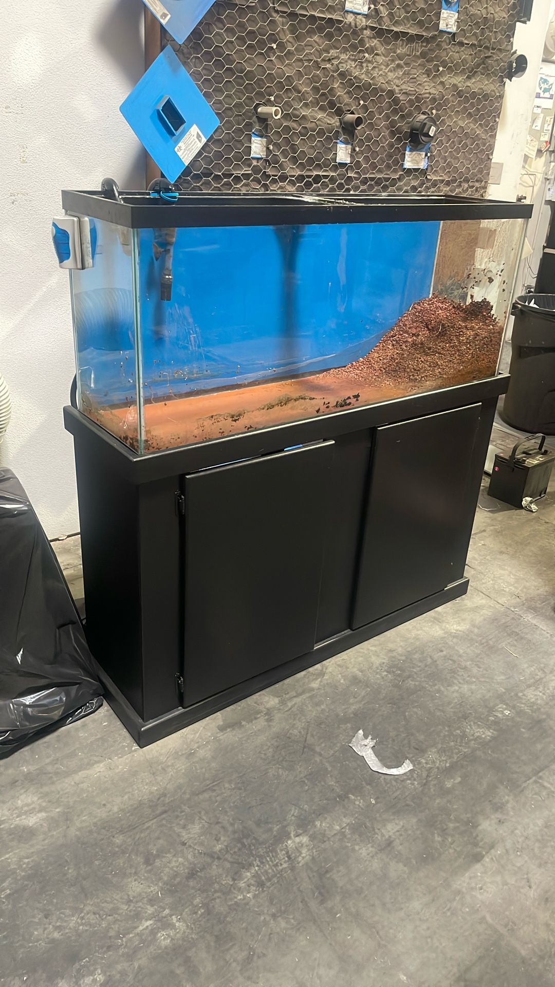 Fish Tank