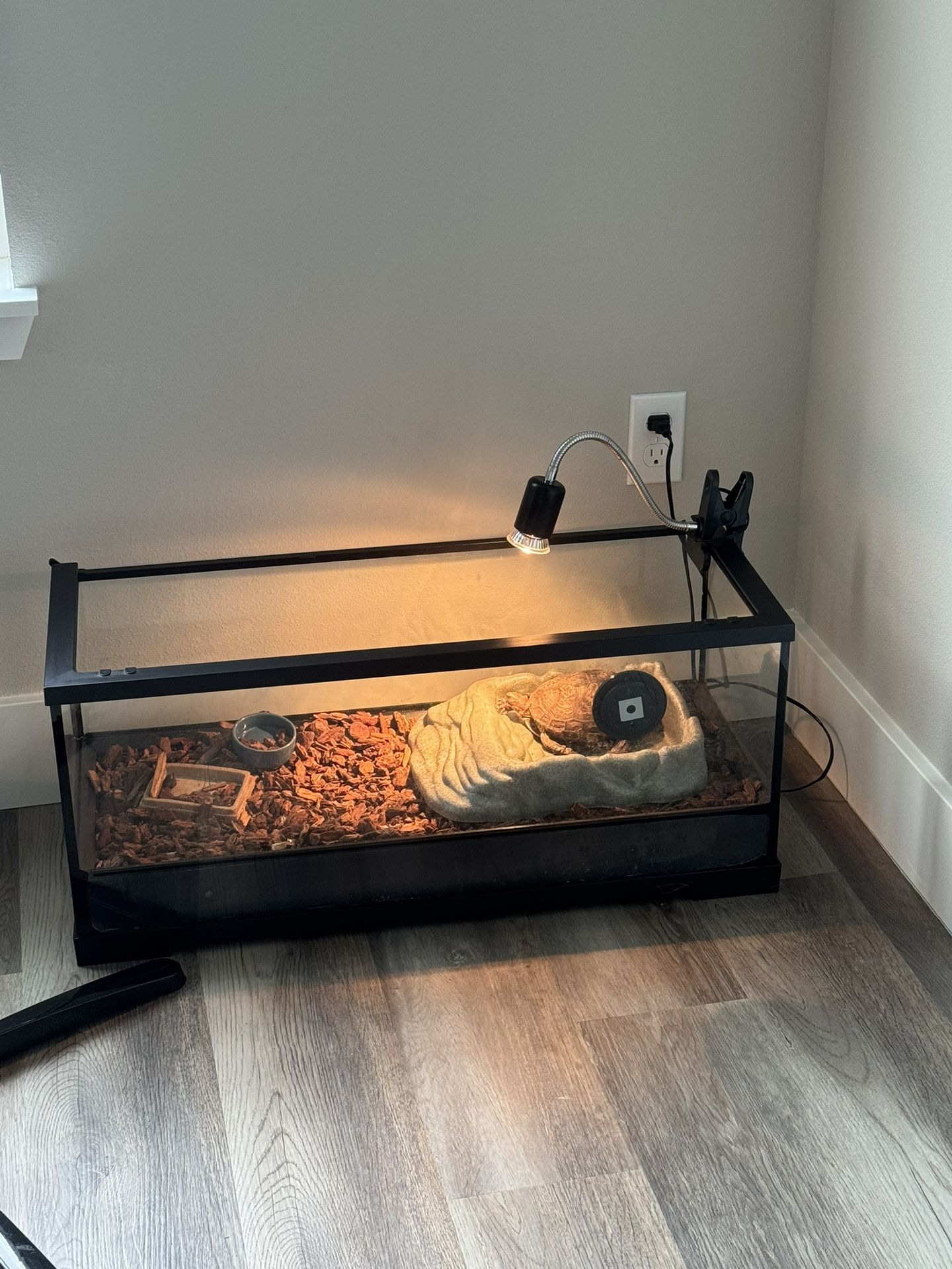 Turtle And Habitat