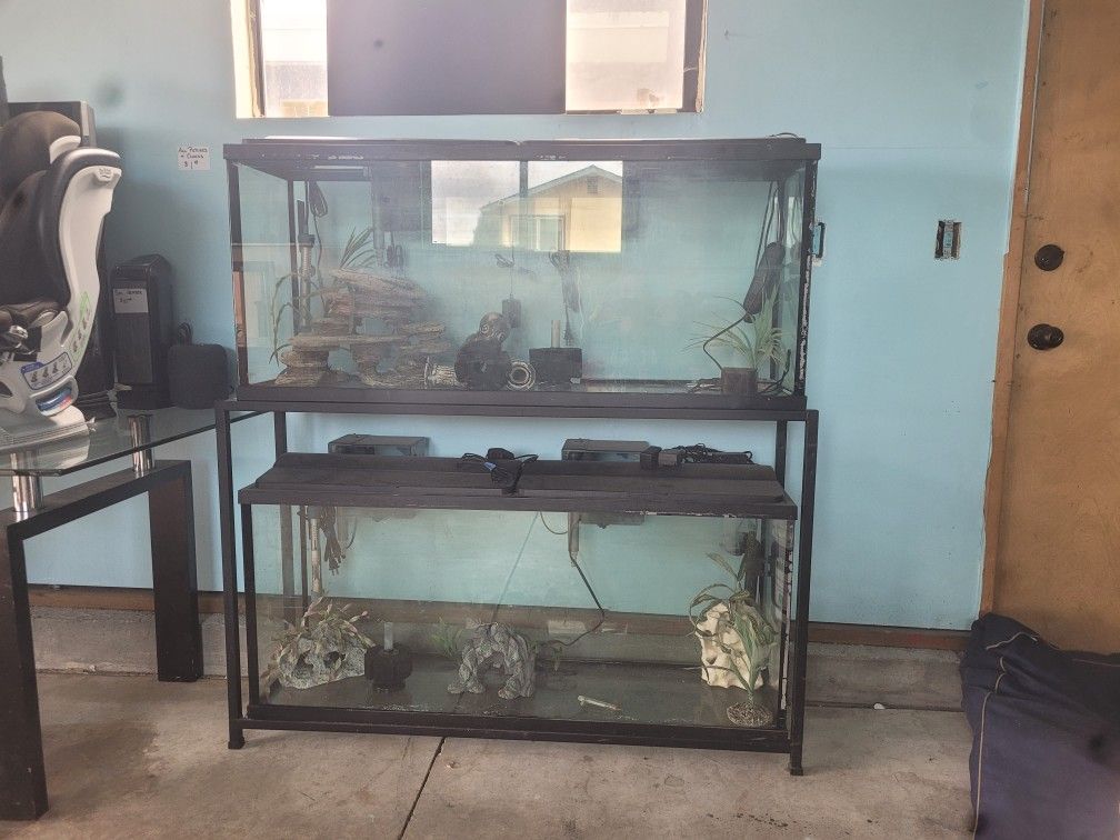 Double Fish Tank Setup
