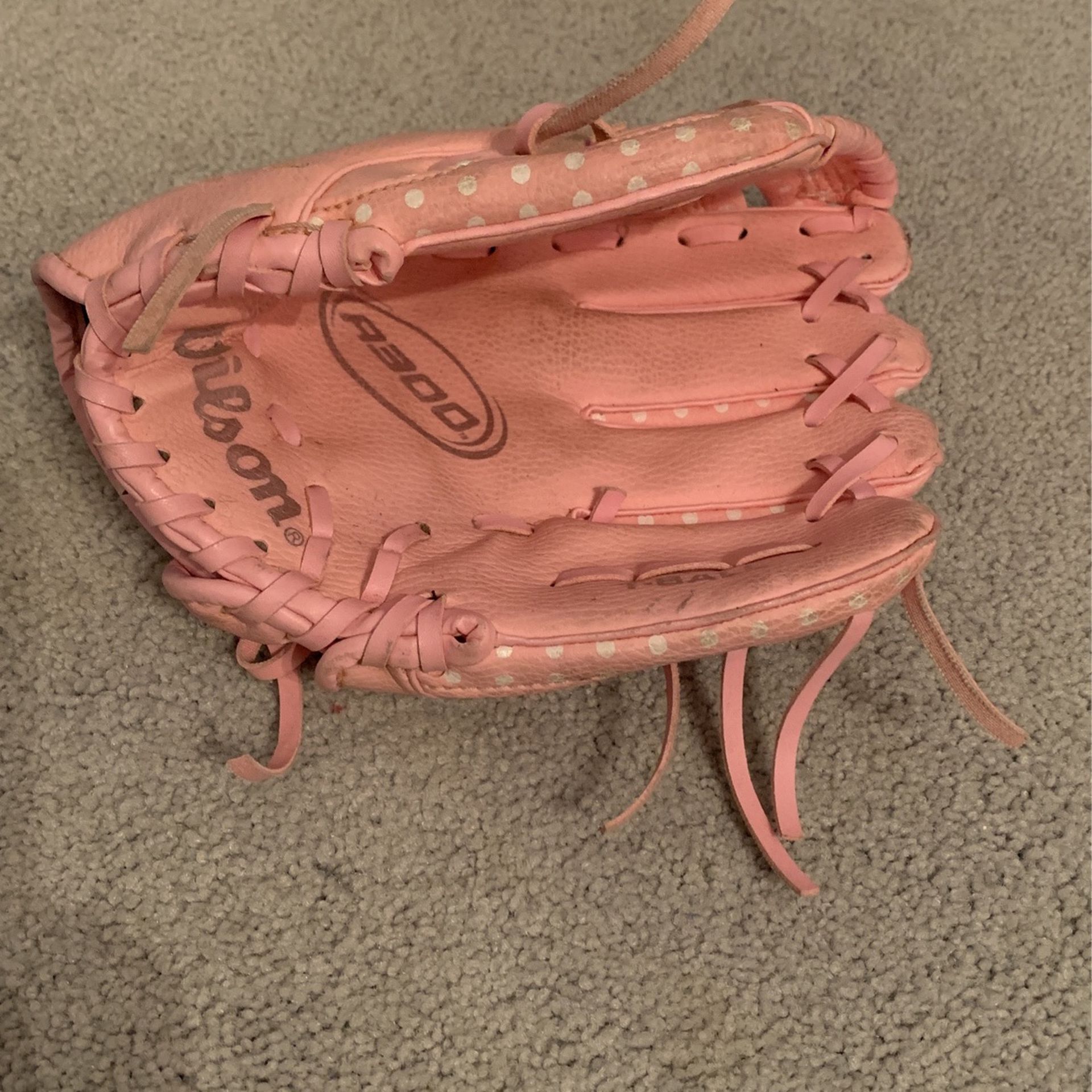 Wilson Baseball glove