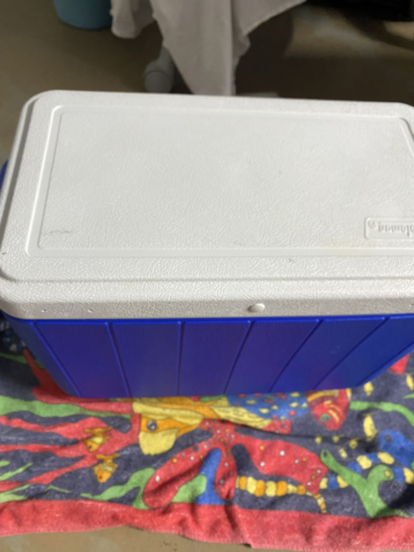 Coleman Cooler