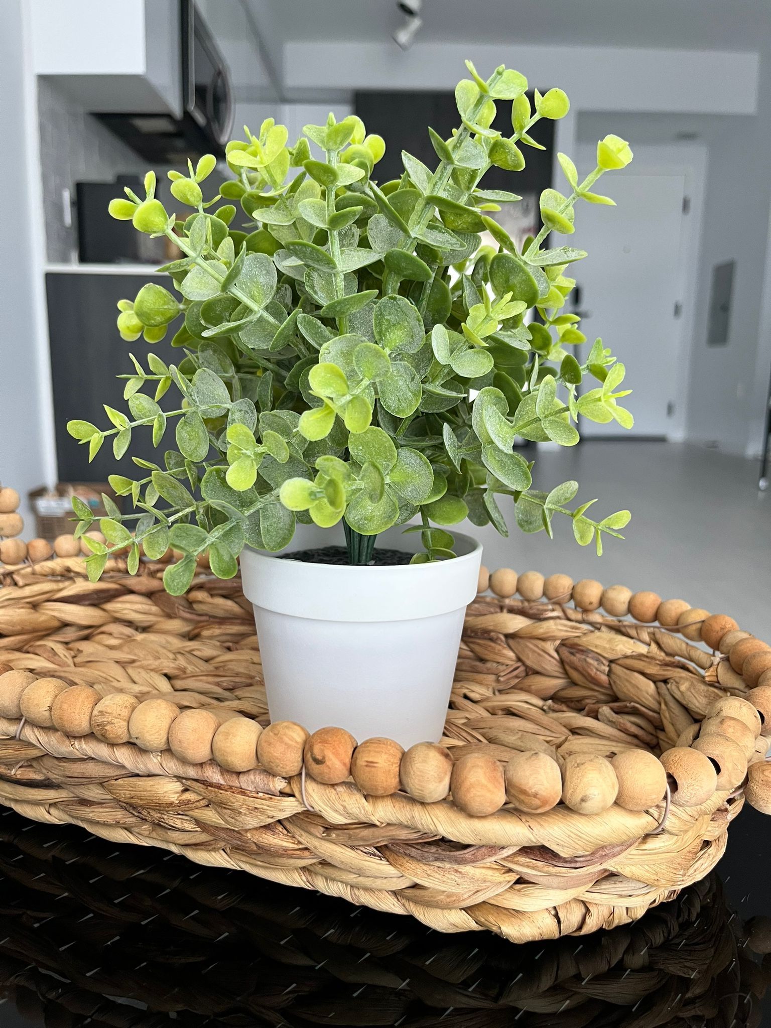Decorative Tray with Faux Plant