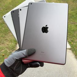iPads 5 / 6 / 8 / Pro