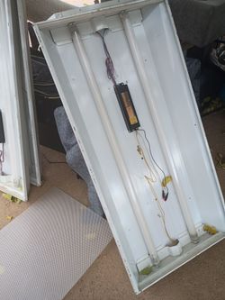 4 ft lights $i hv 6 with Xtra bulbs10each