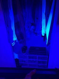 Black light bar