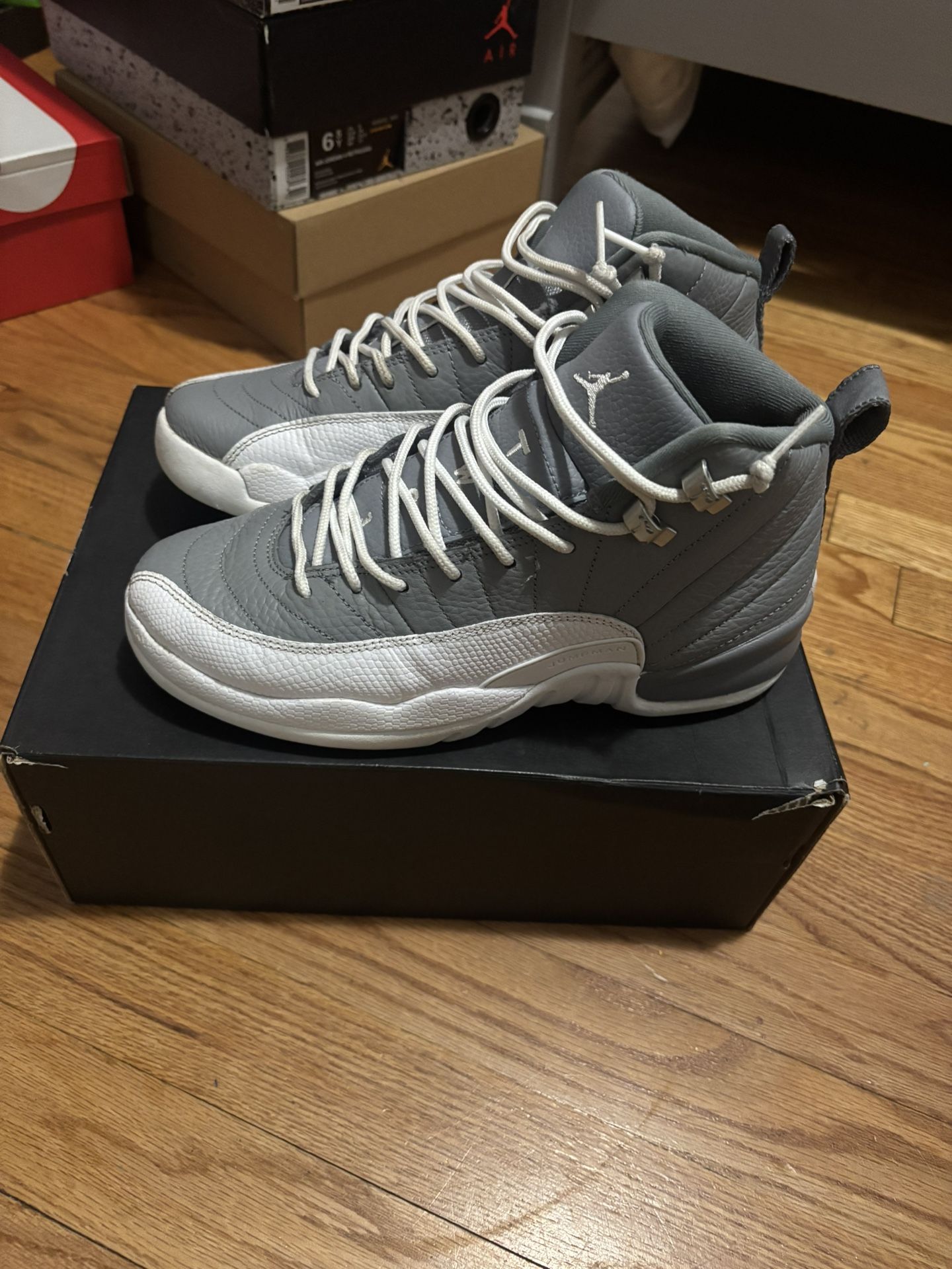 stealth jordan 12 (GS)