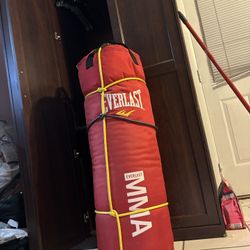Ever Last MMA Punching Bag 70lb