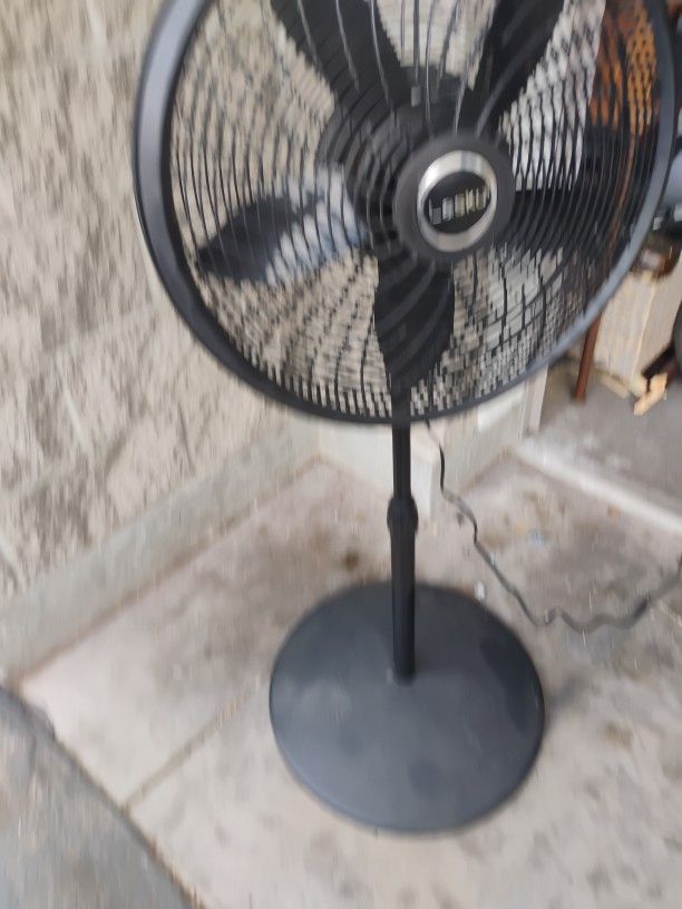 Fan