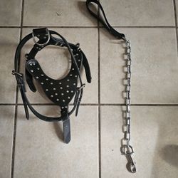 Spiked Harness And Leash
