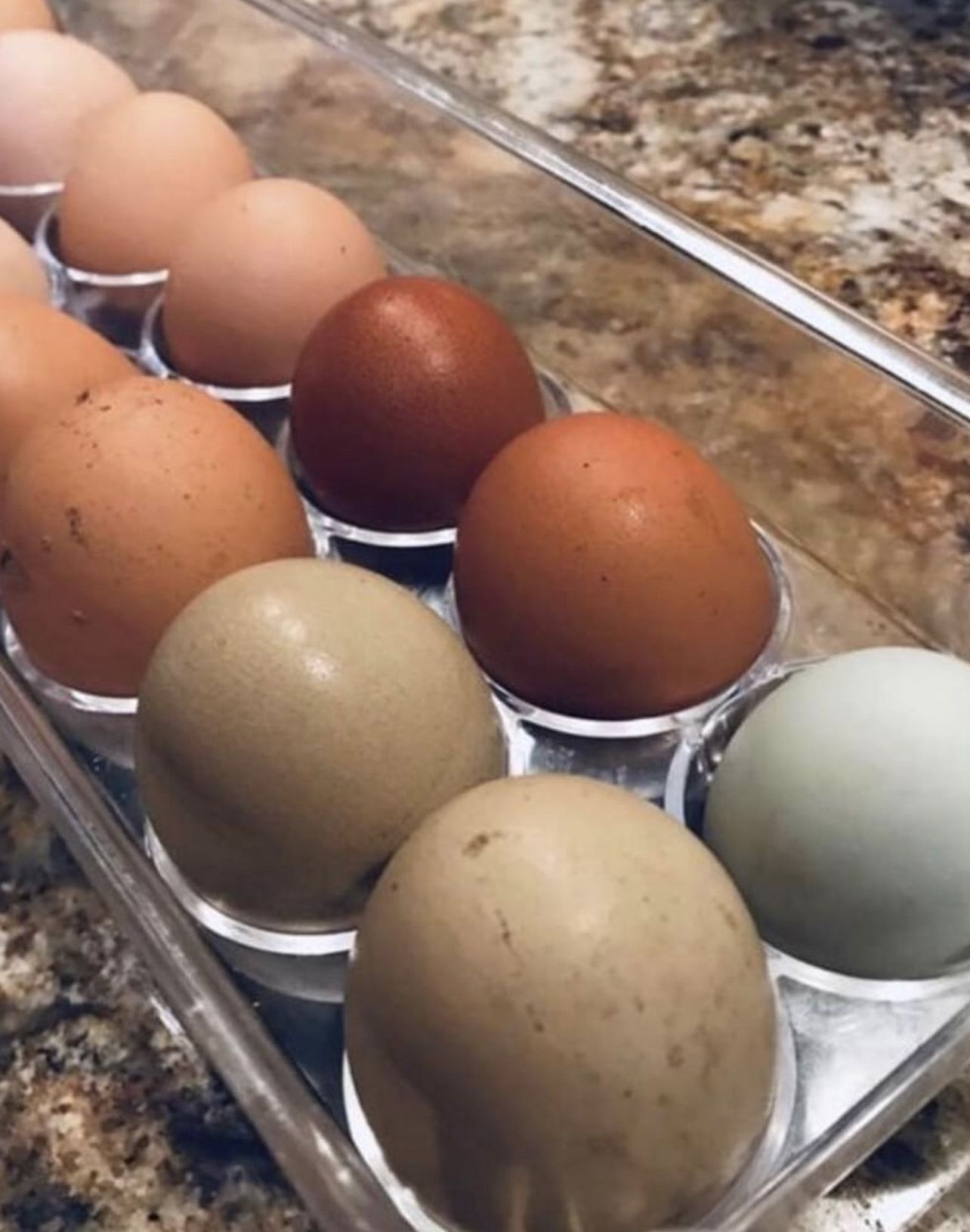 Fresh Organic Eggs