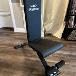 Flybird Workout Bench