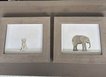 Animal Print Shop With Frames