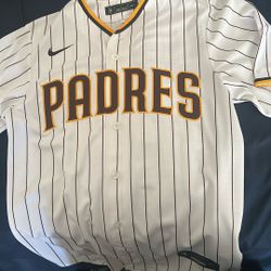 Fernando Tatis Jr Jersey 