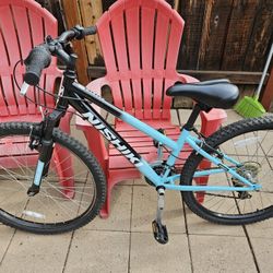 NISHIKI 21 Speed Mountain Bike for Sale in La Mesa CA OfferUp