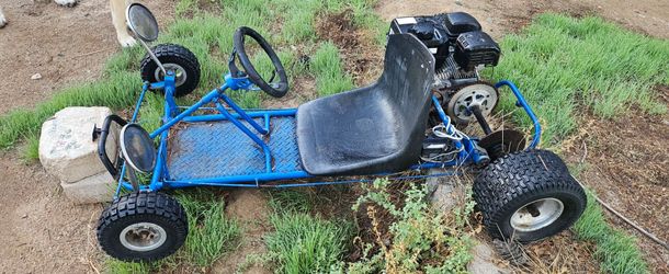 Gas-Powered Go-Kart with 211cc Predator Engine