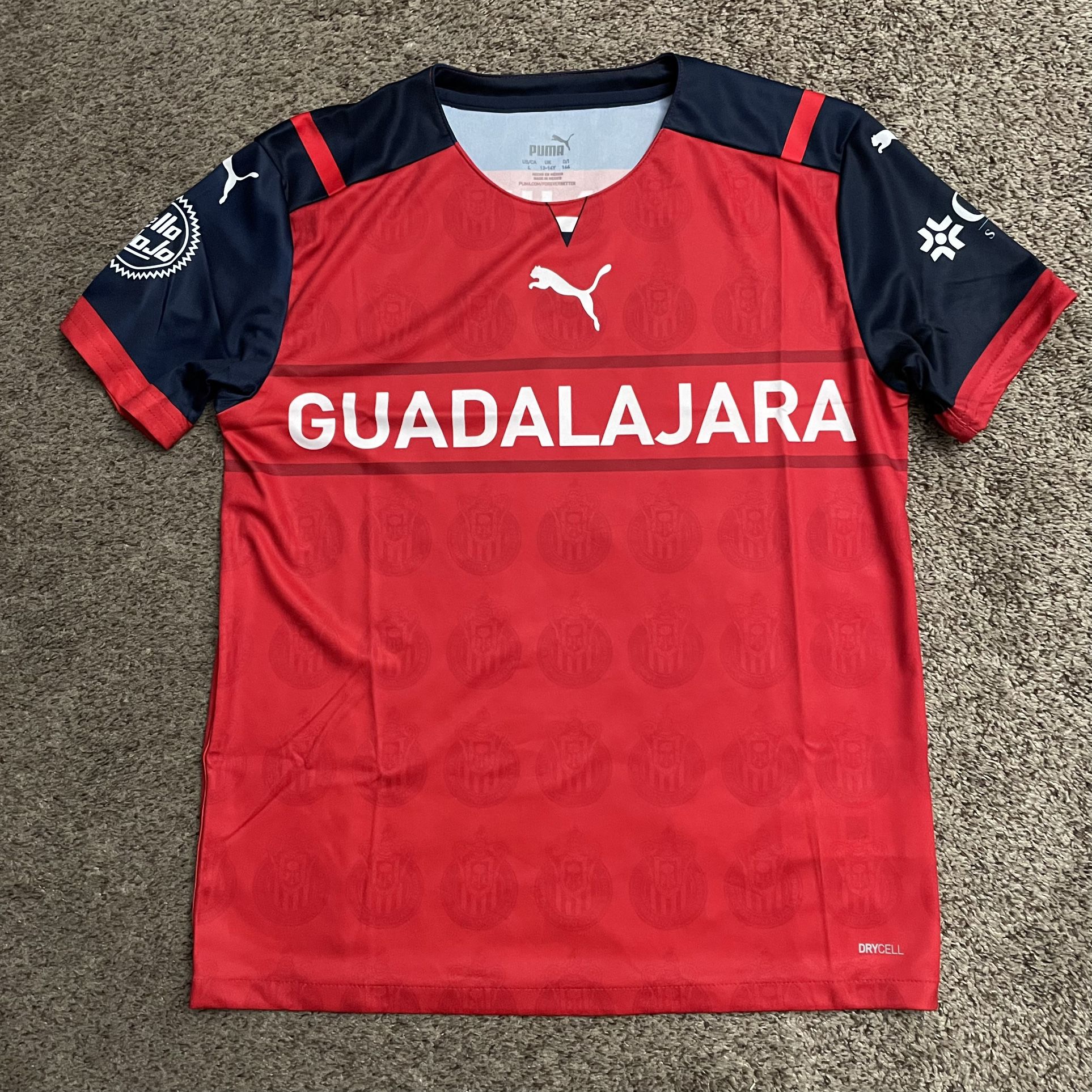 Puma Chivas Guadalajara Liga Mx Home Dry Cell Soccer Jersey Youth 