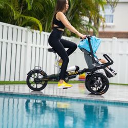 ROLLS Family Electric Cargo E-Bike 