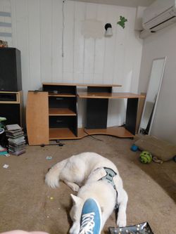 Desk with keyboard shelf