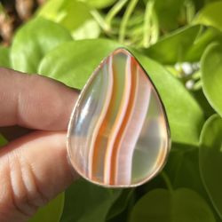 Size 6.5 925 Silver Overlay Botswana Agate Ring 