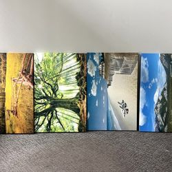 iCanvas Scenic Landscape Canvas Pieces. Price Is Per Piece. Discount If Taking All Four. 40 x 26