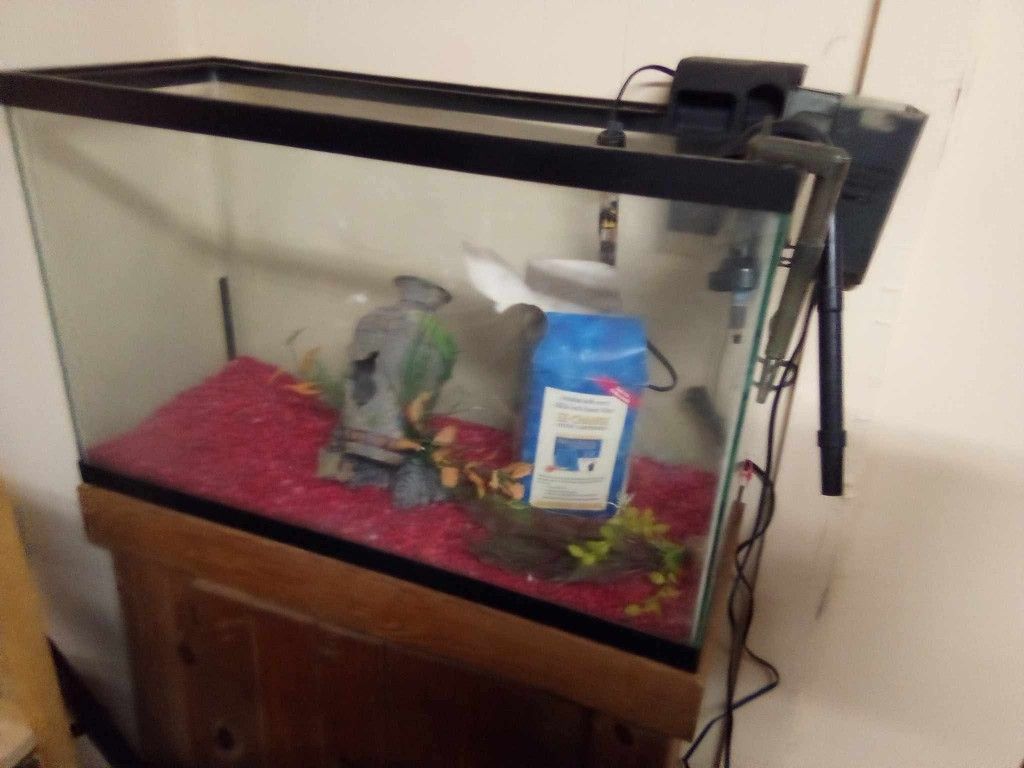 Fish Tank