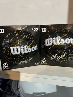 Wilson Basketballs x2