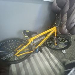 Wolverine Flyer 