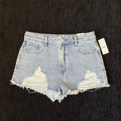 Pacsun High Rise Festival Shorts Size 28