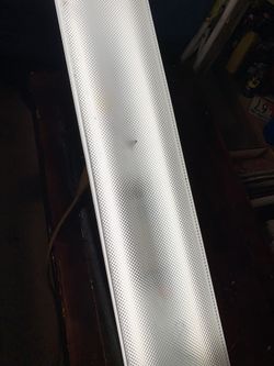 Light