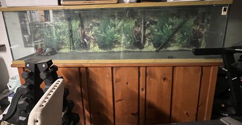 Giant Fish Tank For Sale