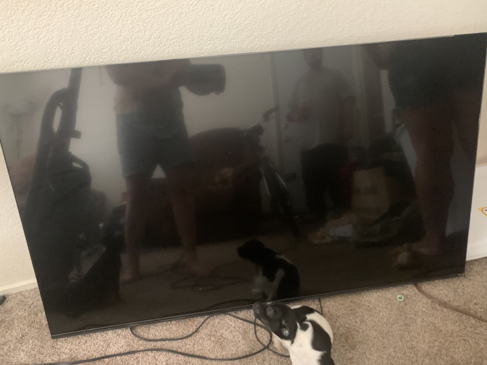 55” TCL Smart Tv Roku