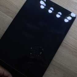 iPad 