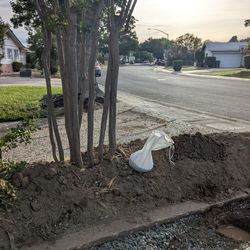 Dirt Free Free Free